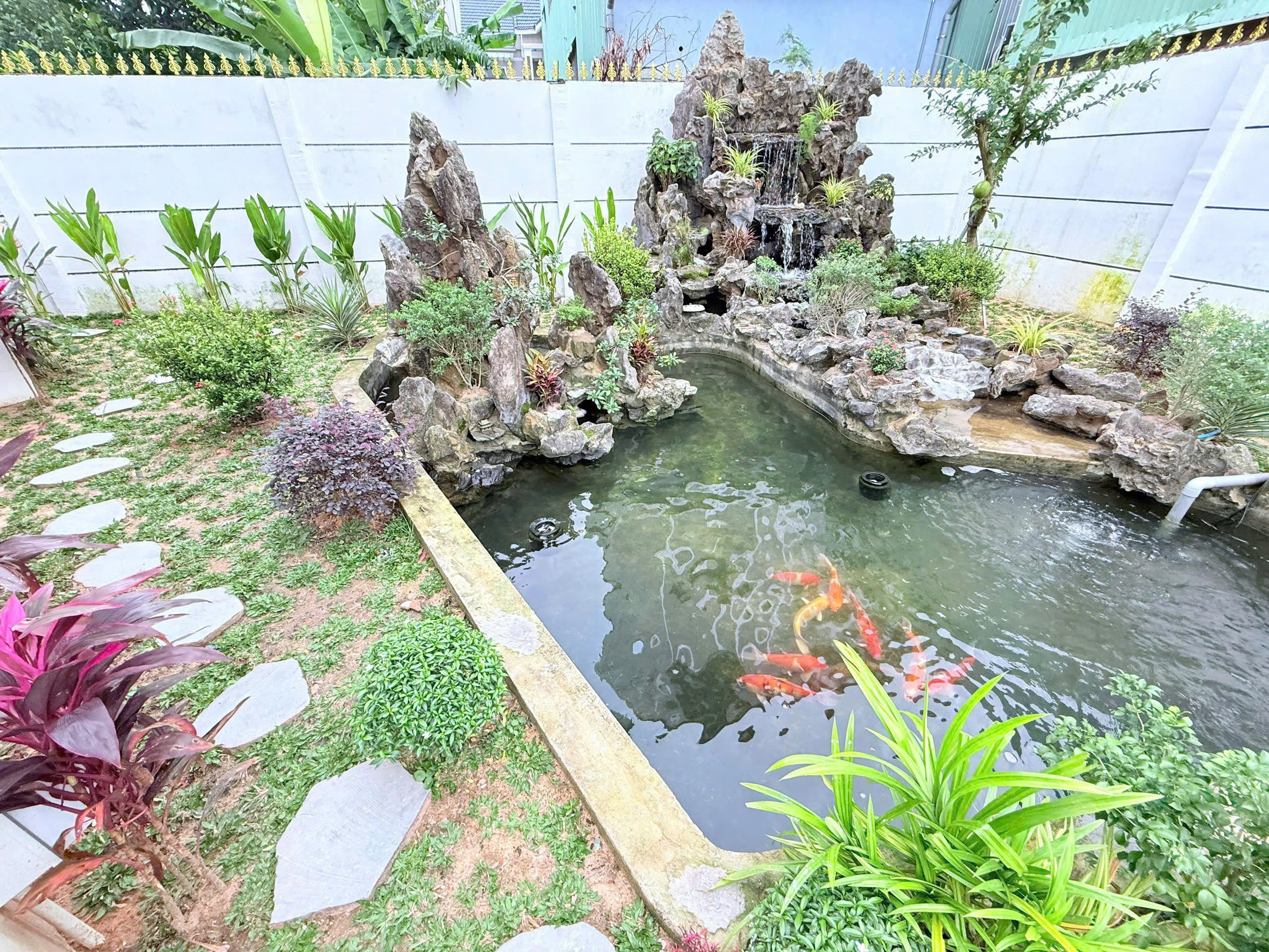 Hồ cá Koi góc nhìn khác